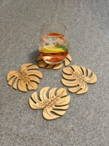 Set 4 Coastere Monstera